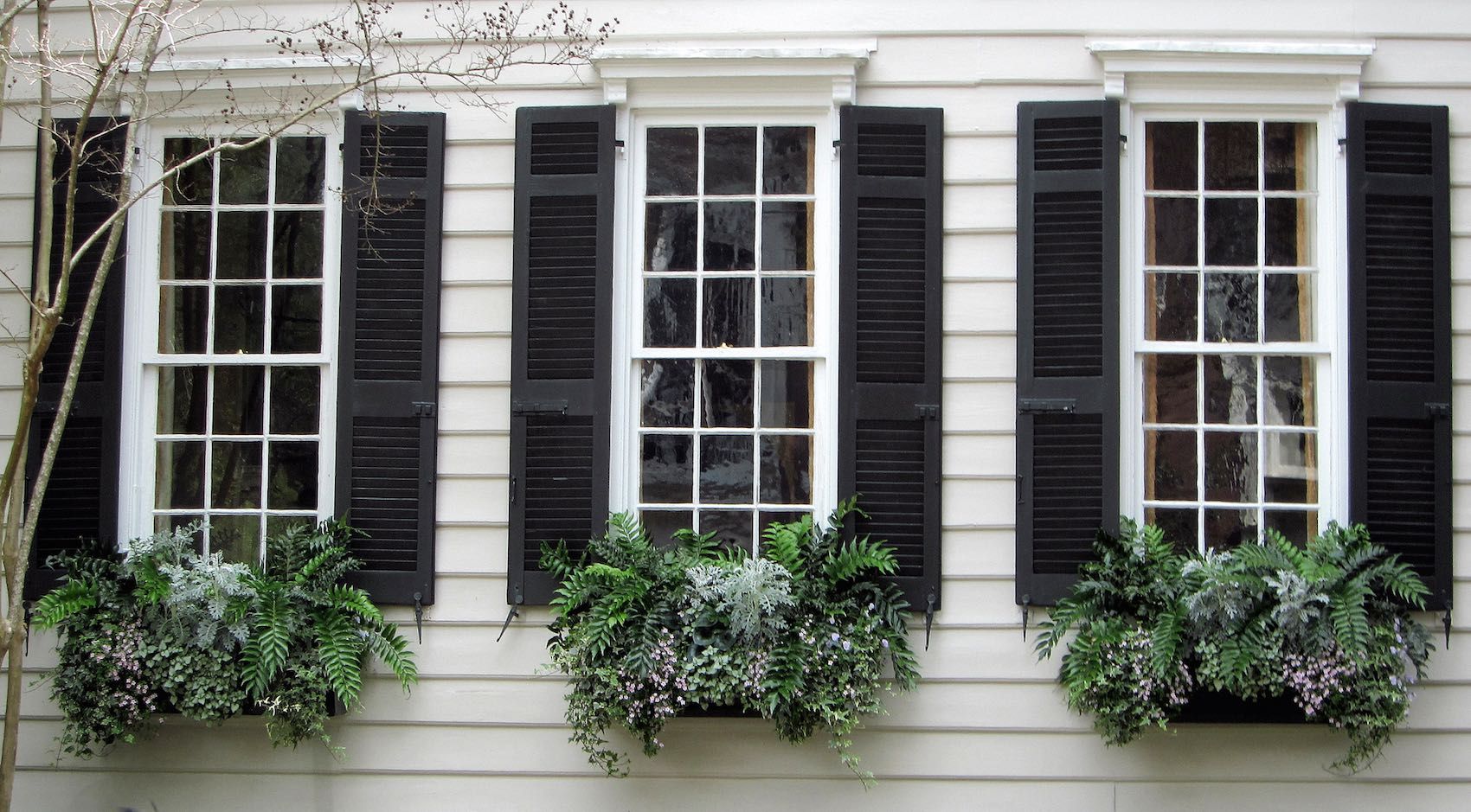 window replacement near me Evanston