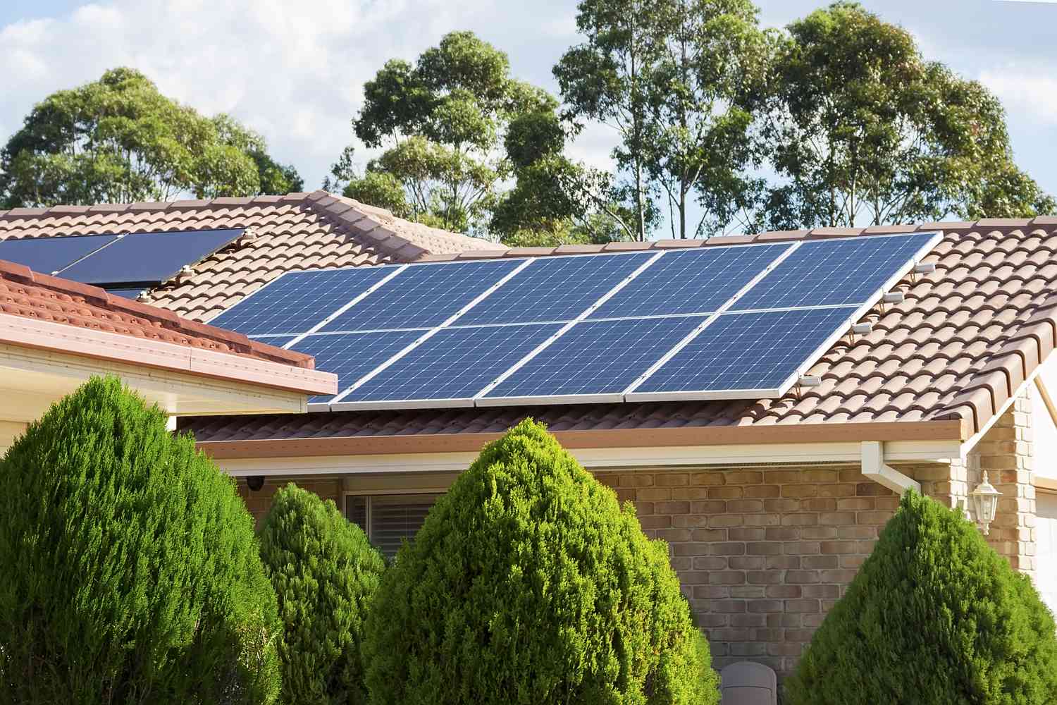 solar energy consultant